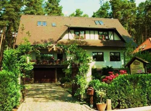 Wittenberg Pension Tannenspitze מראה חיצוני תמונה