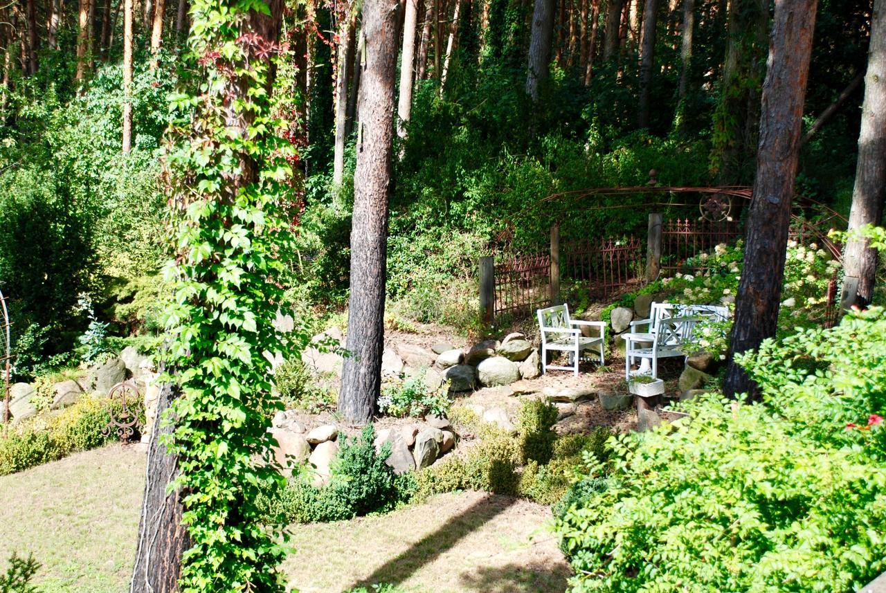 Wittenberg Pension Tannenspitze מראה חיצוני תמונה