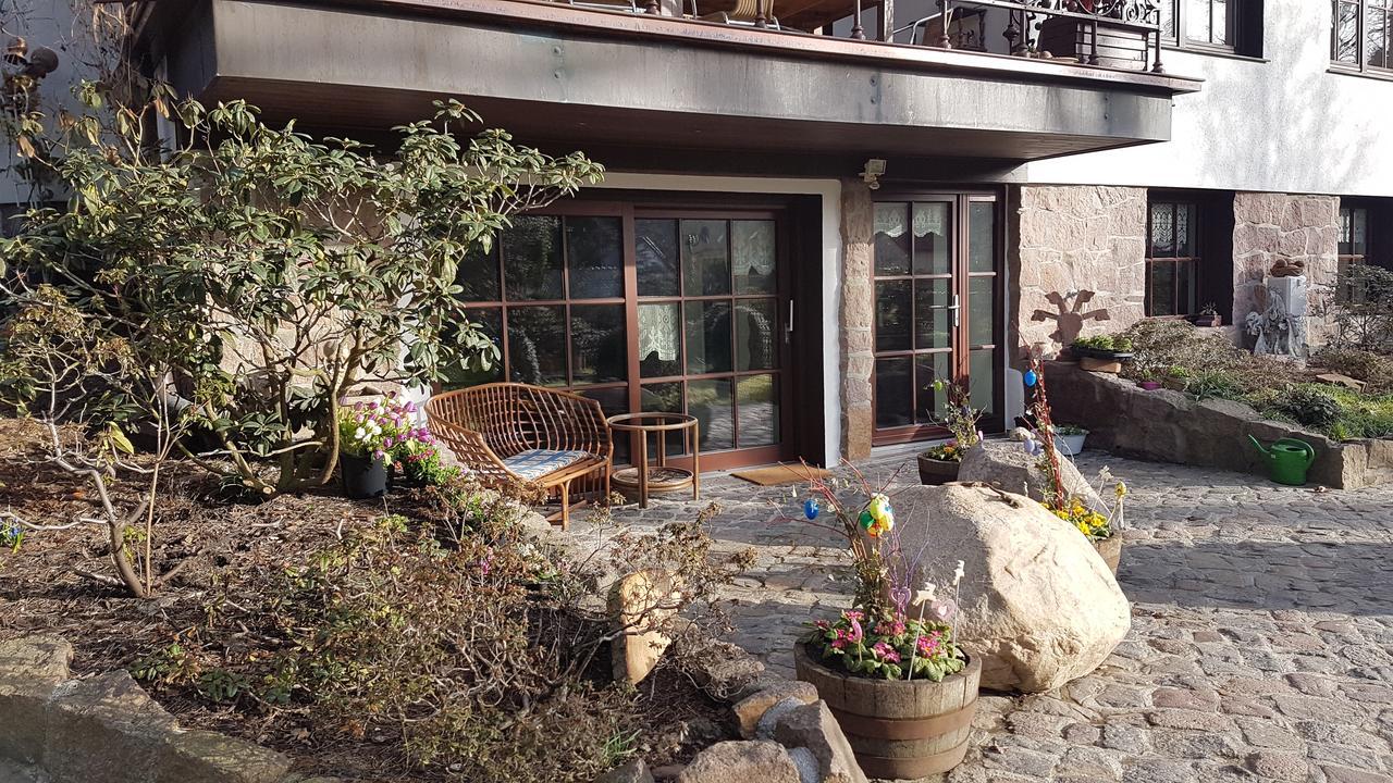 Wittenberg Pension Tannenspitze מראה חיצוני תמונה