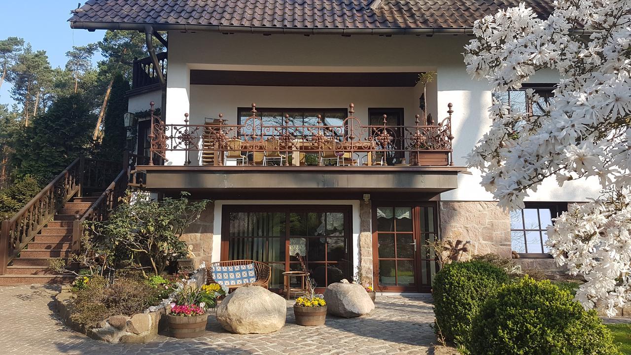 Wittenberg Pension Tannenspitze מראה חיצוני תמונה